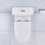 Toilette allongée matte à double chasse à hauteur confort-114280098