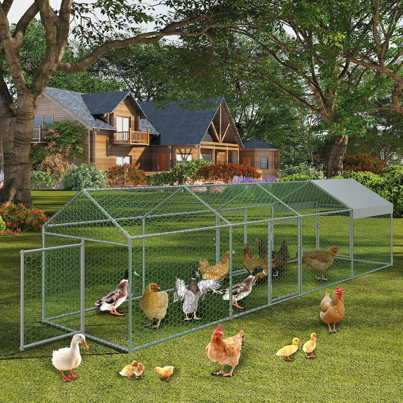 Chicken Run, 100cm H x 100cm W x 400cm D