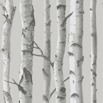 Rouleau de papier peint adhésif L 18 pi x 20,5 po Barstow Mountain Birch