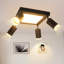 Shely Spotlight-1497031846