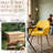 Philodendron 17.7'' H Upholstered Armchair-1896589826