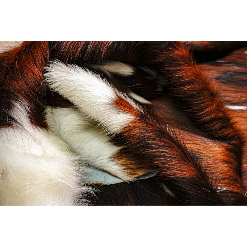 Cowhide Indoor Rug, 5' x 7'