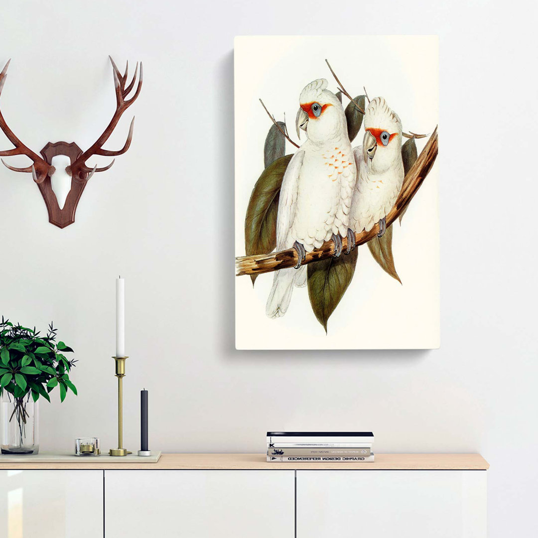 Long-Billed Cockatoos by Elizabeth Gould - Wrapped Canvas