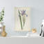 Lavender Curtis Botanicals III - Painting Print-726512017-786331649