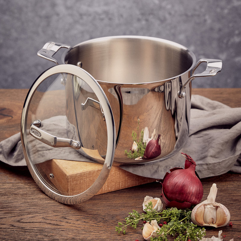 Stellar 18/10 Stainless Steel 22cm Stockpot with Glass Lid