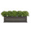 Berenice Handmade Window Box Planter-14486380