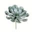Tige de plantes succulentes artificielles