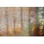 Hand -painted acrylic painting Gleaming Colors