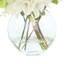 Dahlias and Eucalyptus Centerpiece in Vase-78221209