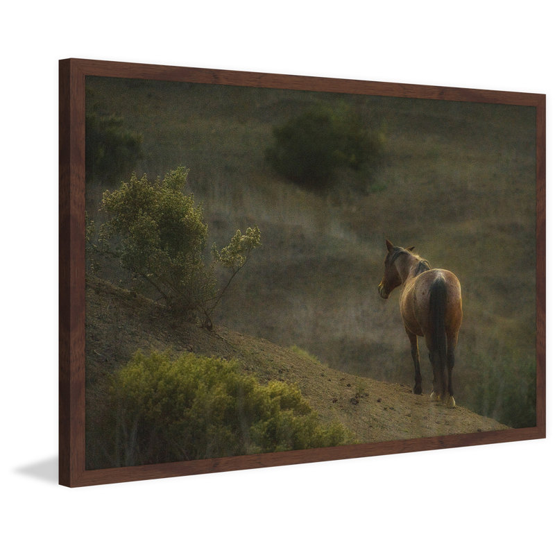 Melanie Snowhite - Single Picture Frame Print, 61cm H x 91cm W x 3.81cm D