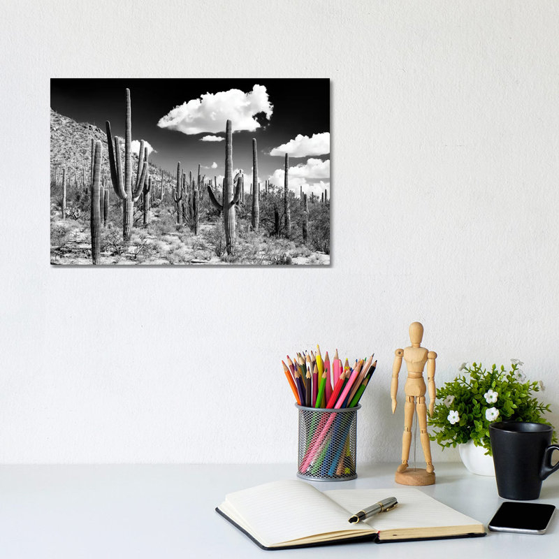 Arizona Series - Cactus Forest 1 Piece Wrapped Canvas Wall Art, 20.32 cm H x 30.48 cm W