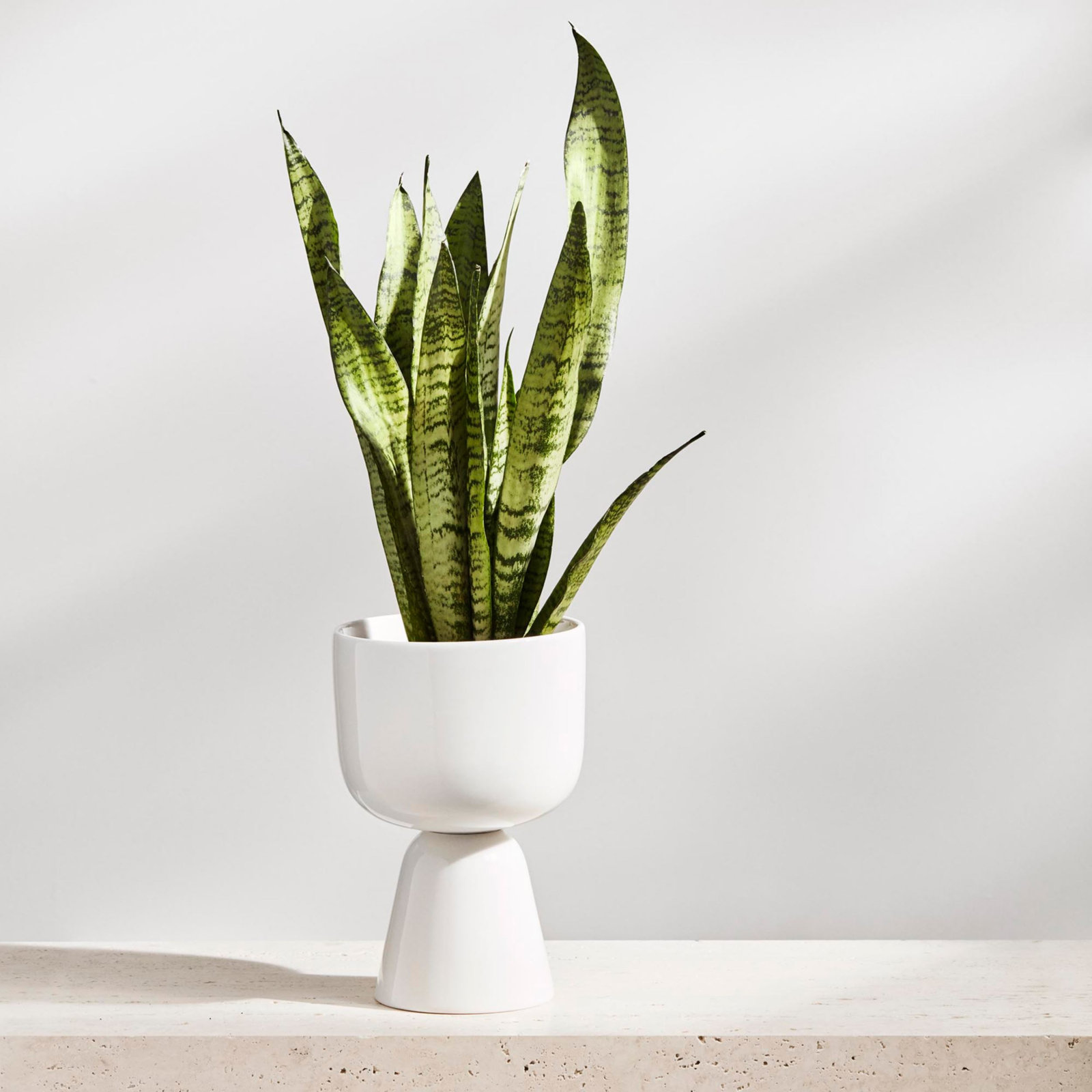 Juba Ceramic Urn Planter, White, 10" H x 6" W x 6" D