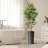 Artificial Tree in Black White Wood Tree Rings Pattern Planter Fake Bamboo Silk Tree-103684950