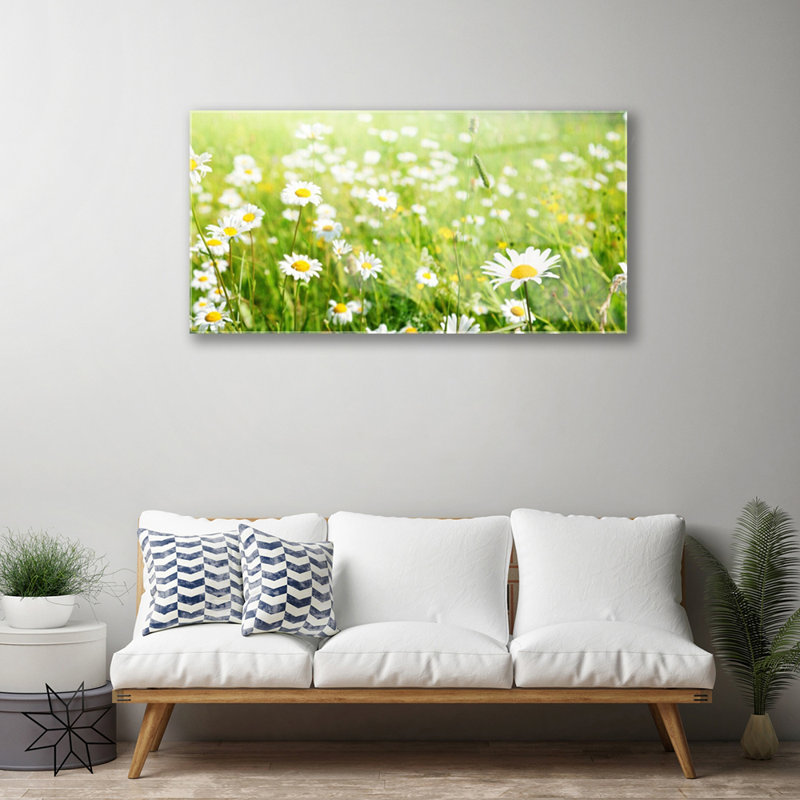Meadow Daisies - No Frame Print on Glass