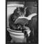 «Literary Litter Box Cat» par Hostetter, reproduction d'art sur toile encadrée-923368289