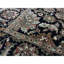 Wool Oriental Area Rug in Black/Ivory/Green