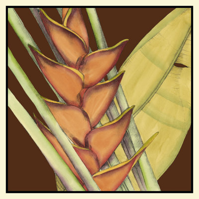 Striking Tropical IV by Jennifer Goldberger - Wrapped Canvas Print