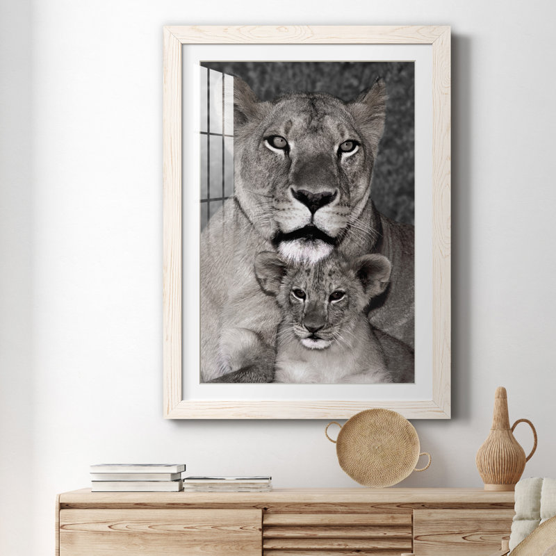 Lionne and Cub - Photographie avec cadre photo, Cadre blanc, H 31 po x l 44 po x P 1 po