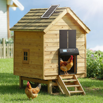 Porte de poulailler automatique, porte de poulet à énergie solaire et à piles avec écran LCD, télécommande, capteur de lumière et minuterie, sécurité anti-pincement, ouvre-porte en aluminium pour poussins, noir