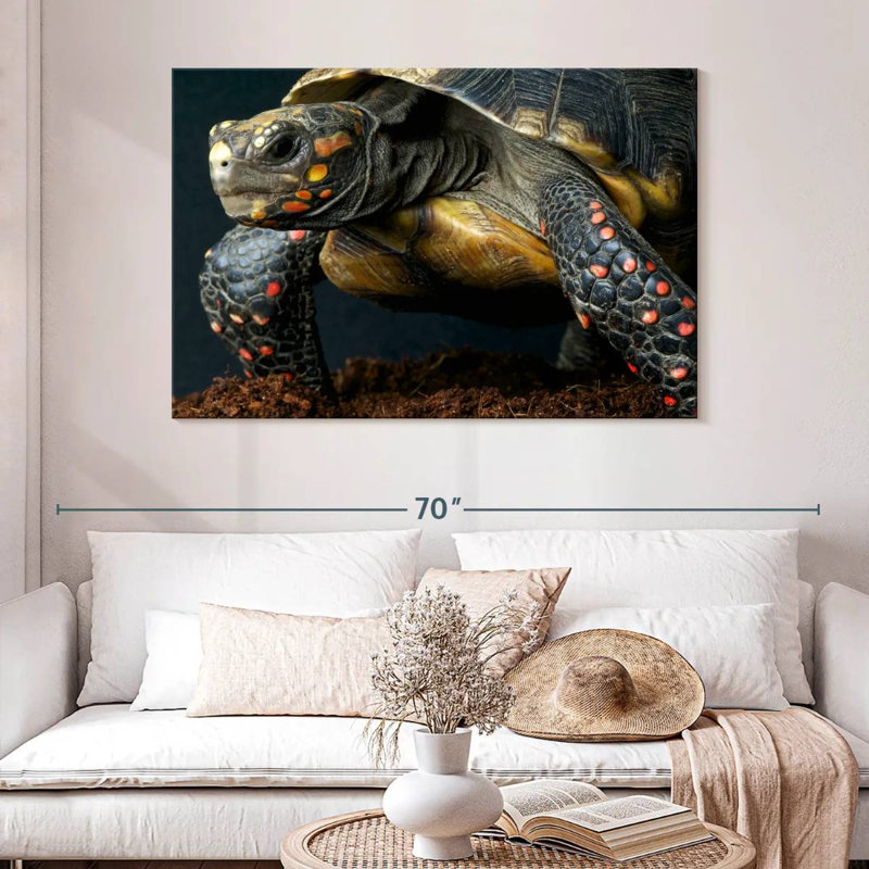 Red Footed Tortoise Species, 32" H x 48" W