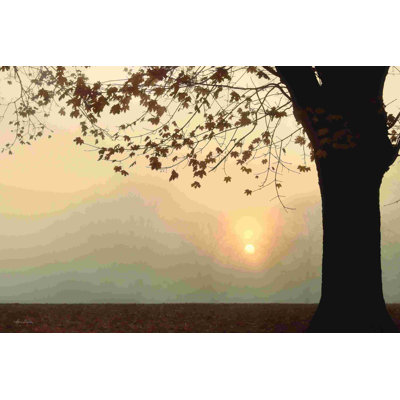 Lever de soleil brumeux