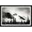 "Mysterious Peak" Framed Print-1870223712