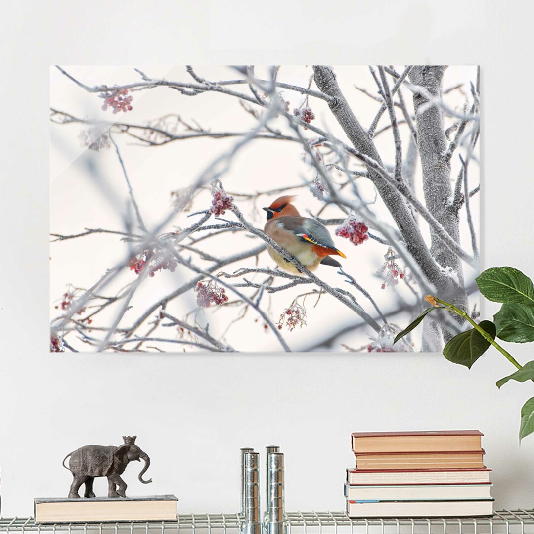 Glasbild Waxwings in Tree