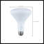 11 Watt LED Bulb