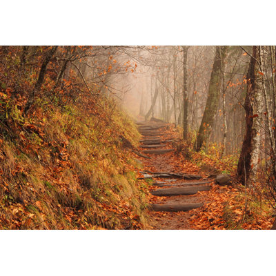 " Foggy Appalachian Trail "