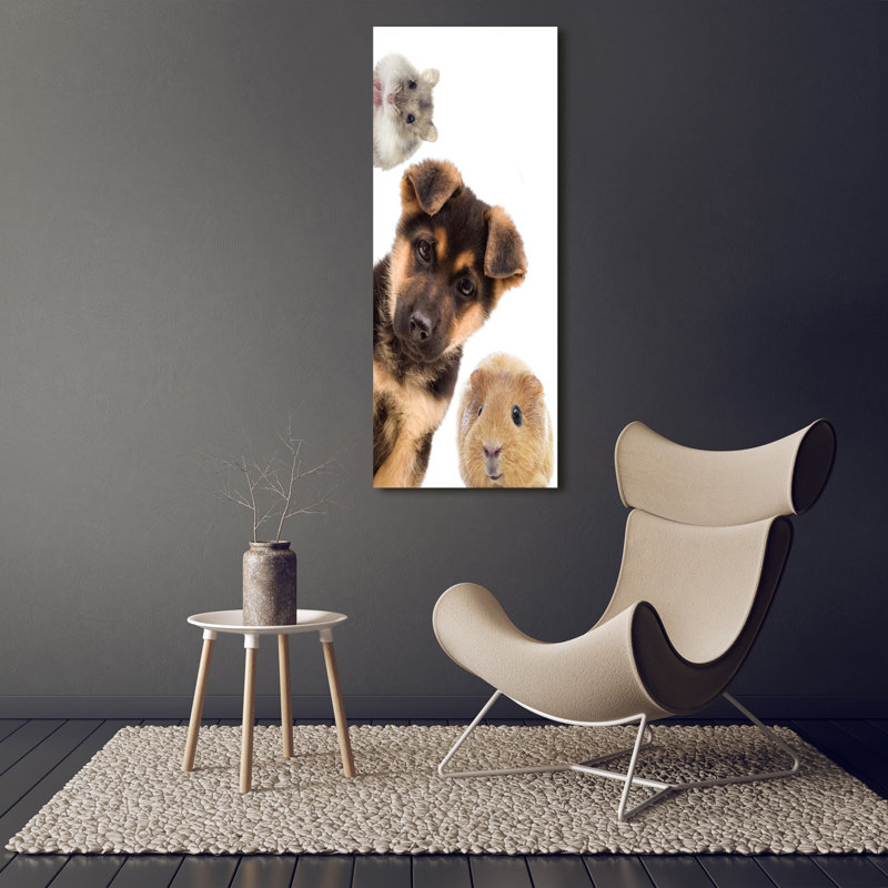 Pets - Wrapped Canvas Print