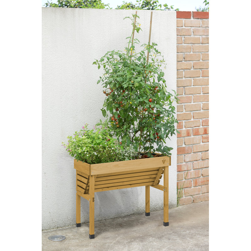 Jardin surélevé en bois 2,6 pi x 1,5 pi Finnerty