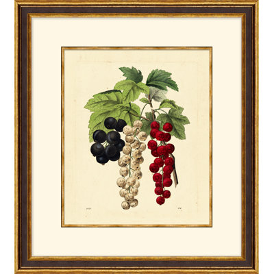 Vivid Cherries Print