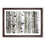 Silver Birch Tree Forest - Picture Frame Painting Print-55619244-55619248