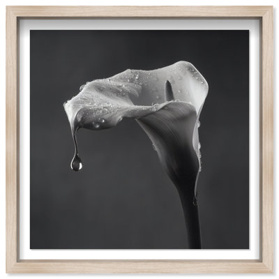 Midnight Rain Print by Oliver Gal