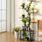 Plant stand