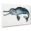 River Dolphin by John Edward Gray - Wrapped Canvas-55323874