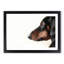 Dachshund Dog - Picture Frame Painting Print-55491082-55491084
