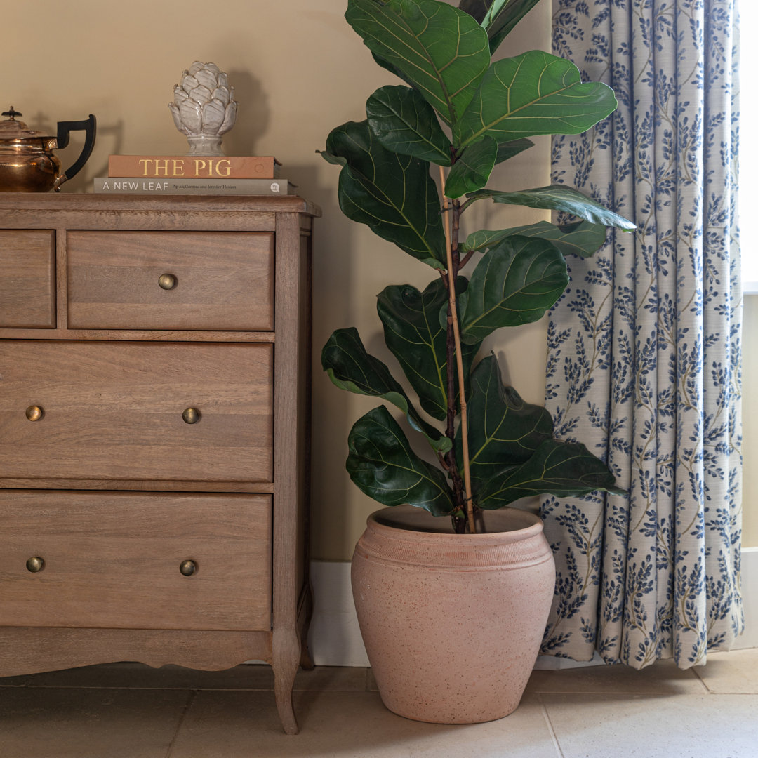 Pot Planter