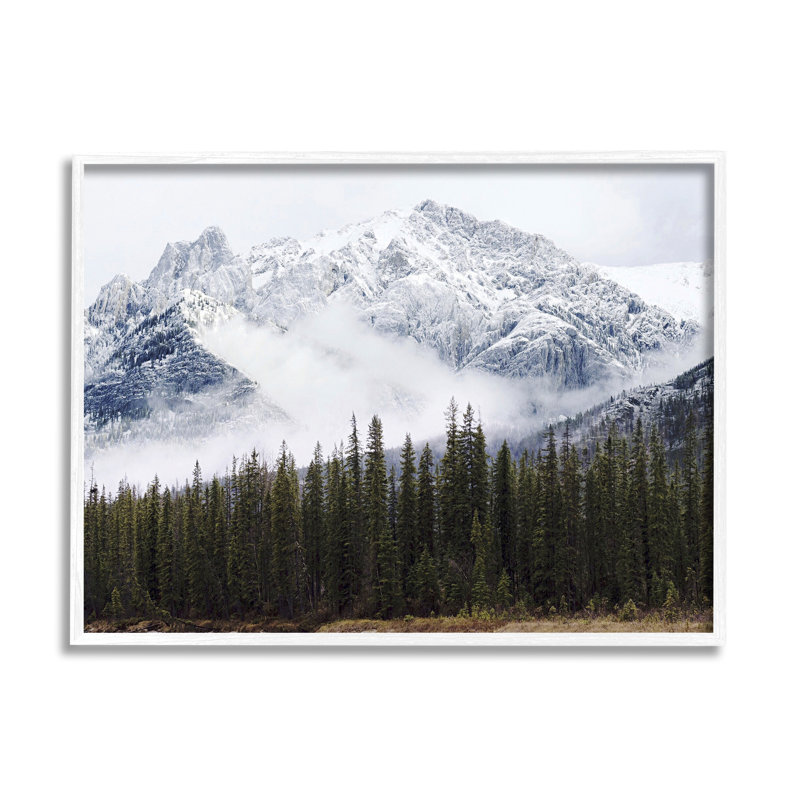 Snowy Mountain Top Tall Fir Trees, H 16 po x l 20 po, Giclée encadrée blanc bord de mer