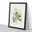Pompon Roses by Pierre-Joseph Redoute - Framed Print-55601499-55601503