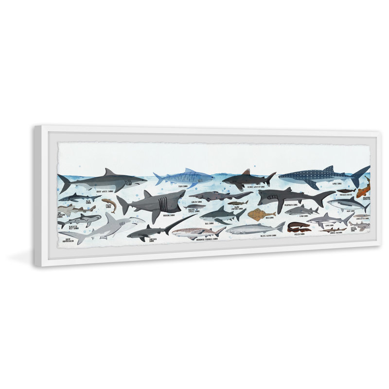 Sharks of the World par Marmont Hill - cadre encadré, impression panoramique, H 15 po x l 45 po x P 1,5 po