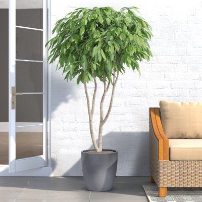 Napa Round Cylinder Pot Planter
