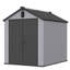 Remise de rangement en plastique XWT012 6 * 8Ft
