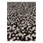 Nakayama Multi Rug