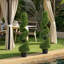 120cm Plant