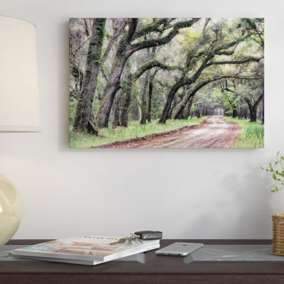 " Dirt Road II " by Danny Head