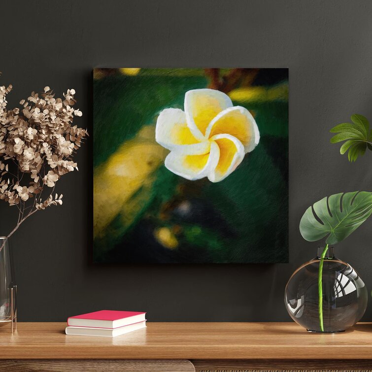 Red Barrel Studio® A Little Frangipani Flower On Canvas Painting | Wayfair