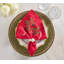 Holly Ribbon Napkin