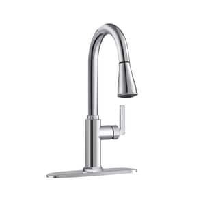 Proflo Kitchen Faucet, Chrome