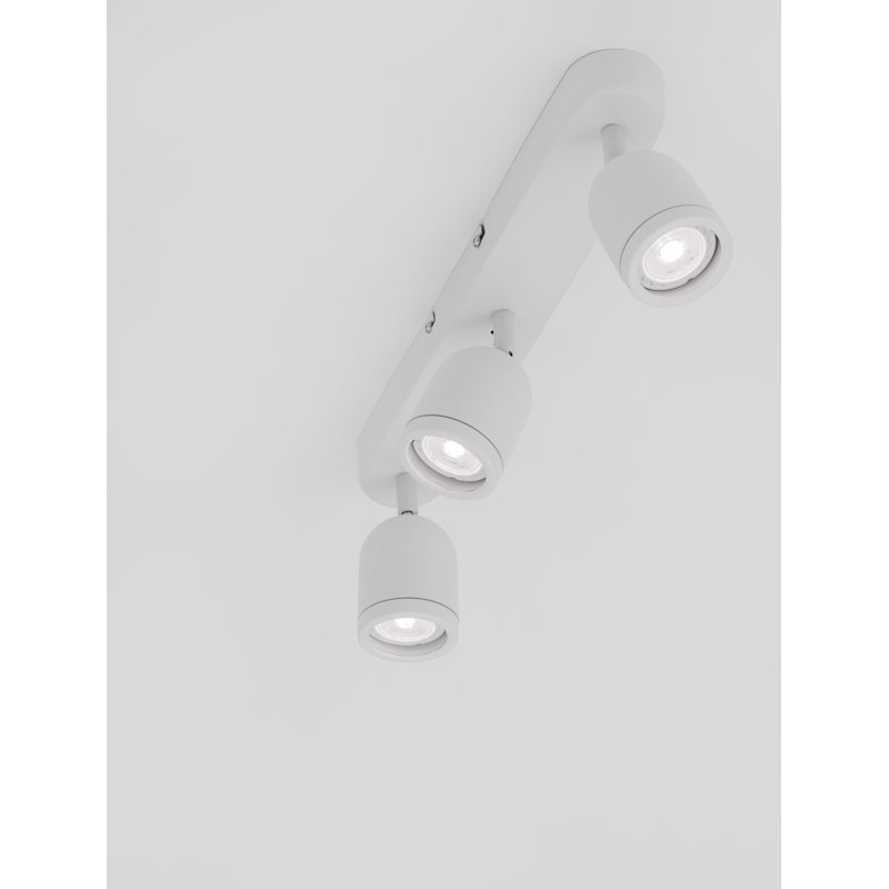 Delidle Spotlight